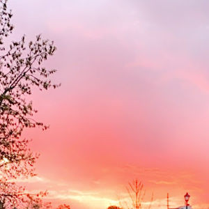 Meet your Posher, Ava